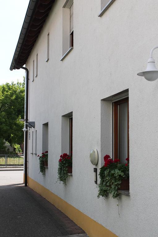 Hirschengarten Hotel Freiburg im Breisgau Buitenkant foto